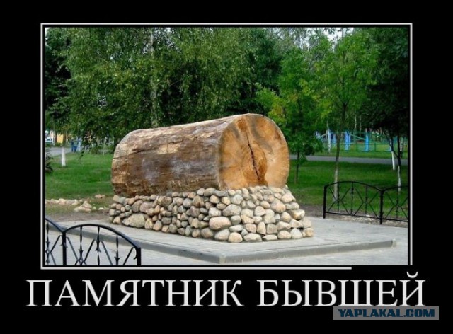 Проснулся и понял - пора брать себя в руки