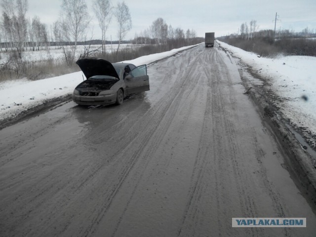 Озеленение Владивостока.