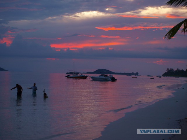 Как я съездил на Сейшелы