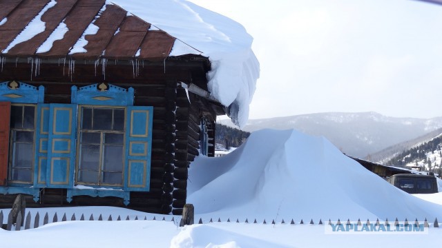 Суровая жизнь в поселке "Коммунар"
