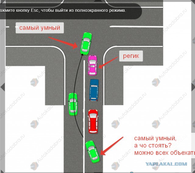 Быдло на дороге