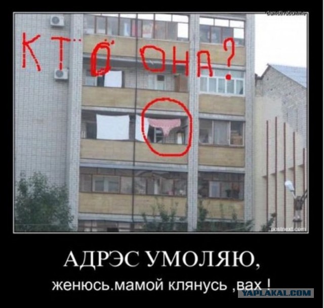 Моя девушка давно просила купить весы