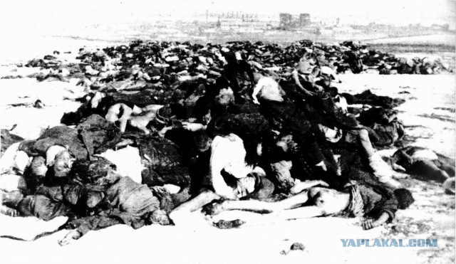 23 августа 1942 массированный налет Люфтваффе