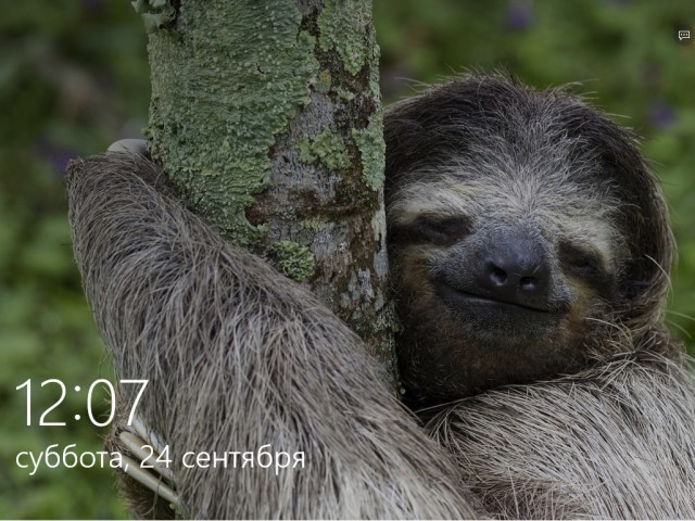 Windows 10