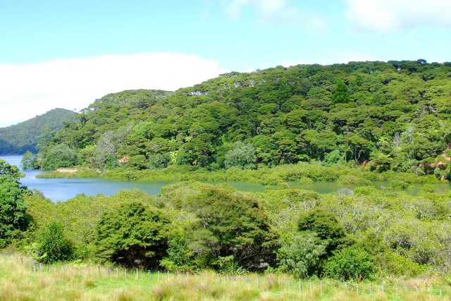 Great Barrier Island. Новая Зеландия.