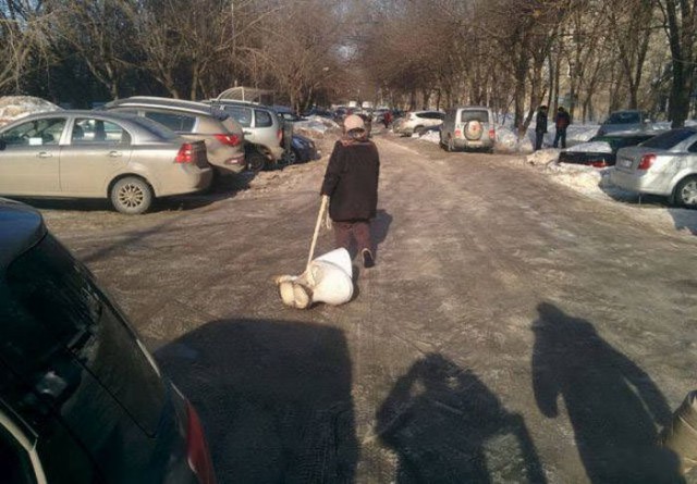 Подборка безудержного веселья