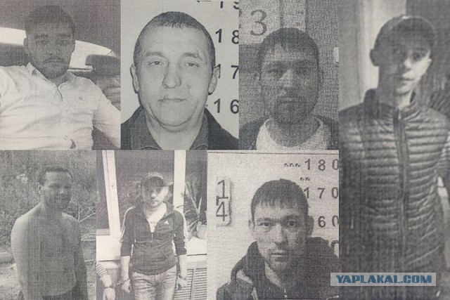 Гаишникам вновь разрешили останавливать автомобили вне стационарных постов