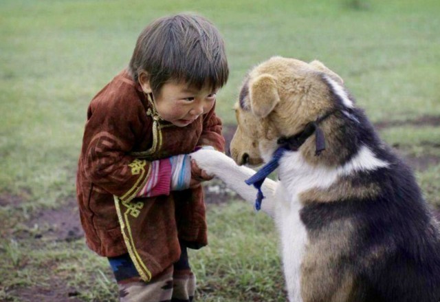 Подборка интересных и веселых картинок