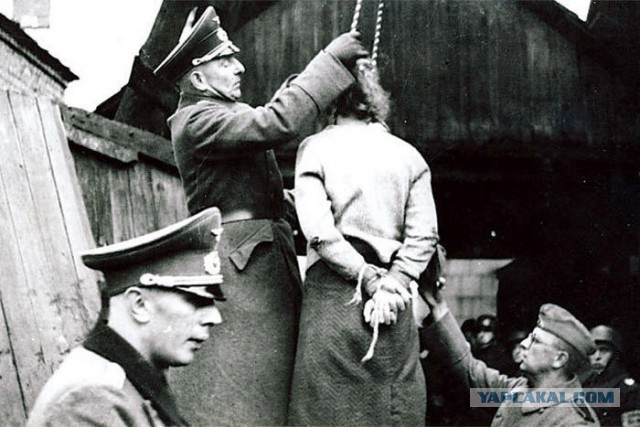 День Национального траура в Германии. Школьник из ЯНАО рассказал в бундестаге о «невинных солдатах вермахта»