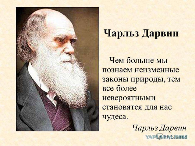 Падение девушки с 5 этажа