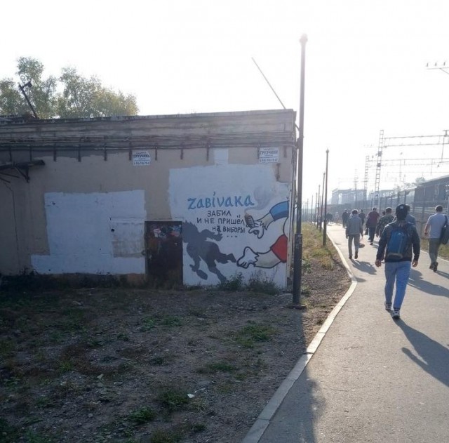 Лента прикольных картинок