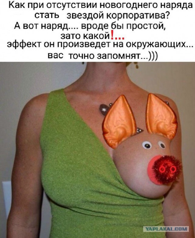 Новогодние приколы