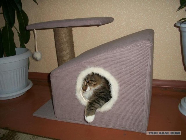 Диван для собаки