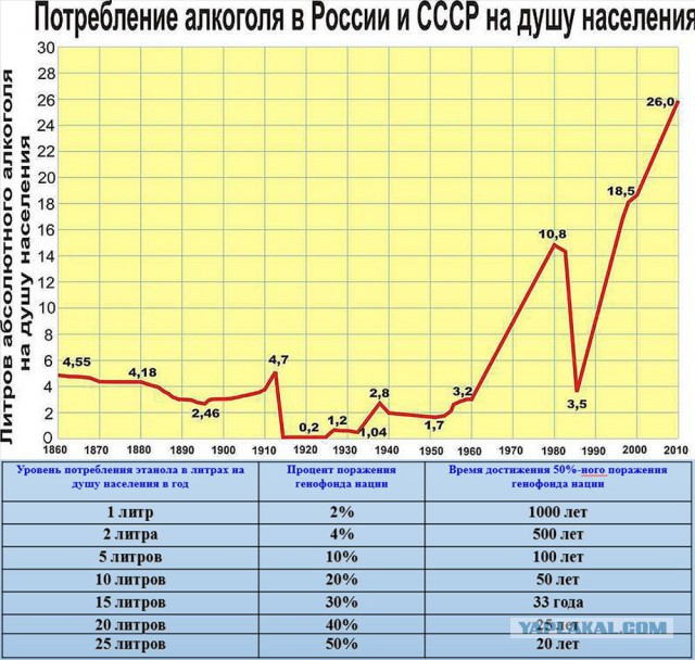 Скворцова назвала главную причину смерти мужчин трудоспособного возраста