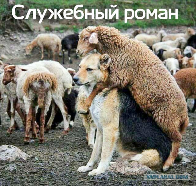 Подборка прикольных и просто красивых картинок 10.03.2019