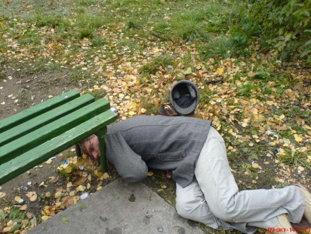 Скотсети и прочие интернеты 28.05.2019