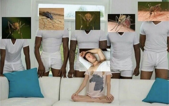 Отряды быстрого деградирования