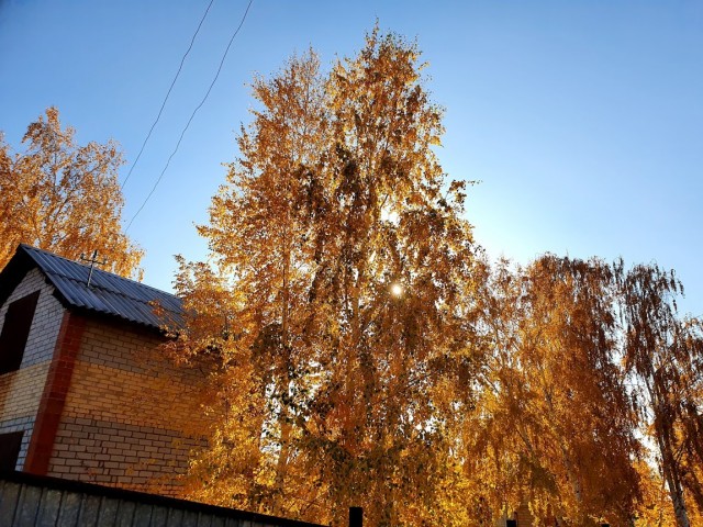 Сам себе фотограф