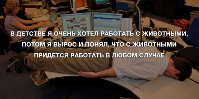 Анекдоты для позитива