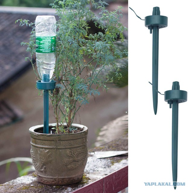 Почему хороших девочек не зовут замуж?