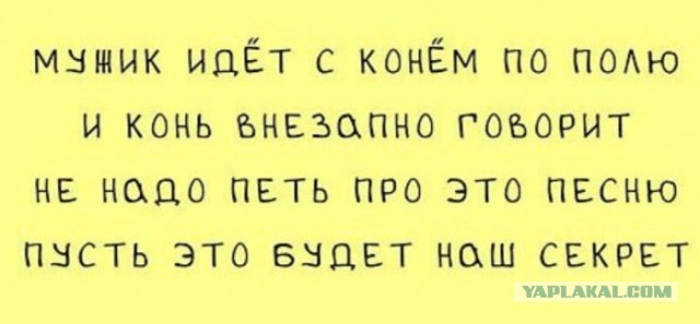 Жена Дмитрия Захарченко сбежала на Сардинию с конём