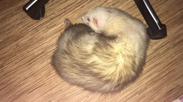 Суточные щи