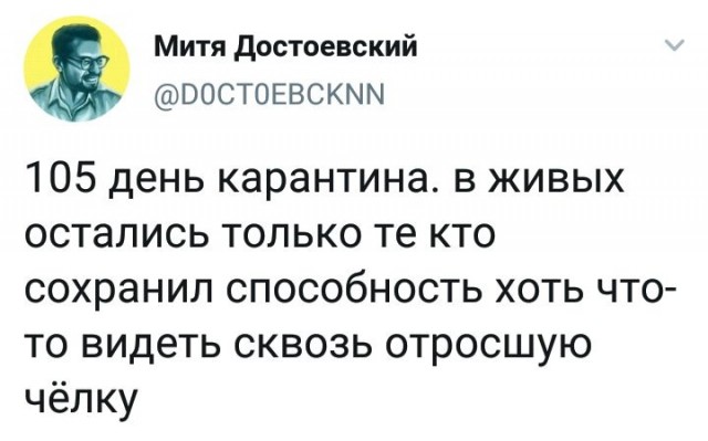 Чуток картинок 13.04.20