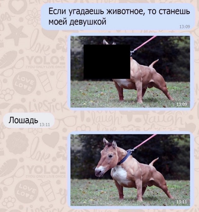 Картинки разнообразные. На злобу дня и на доброту от 05.06