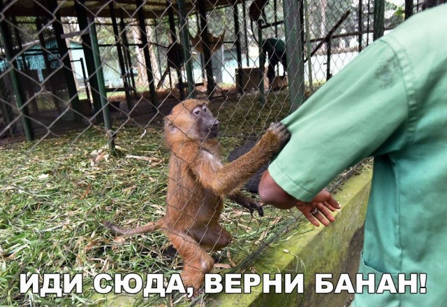 Чуток картинок 13.06.20