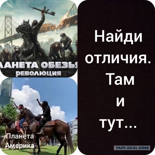 У белых в штатах начало подгорать