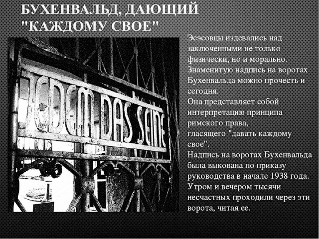 Фильм «ДМБ» - бред сумасшедшего или гениальный шедевр?