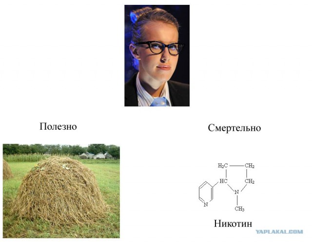 Полезное и не полезное