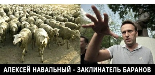 Навальный может получить больше 10 лет лишения свободы