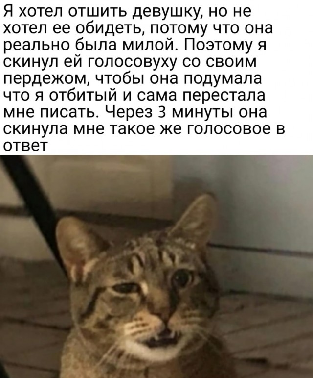 Бредзона 27.01.21