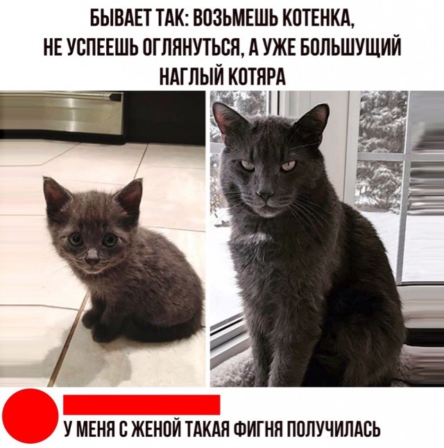 Картинки разные, для настроения
