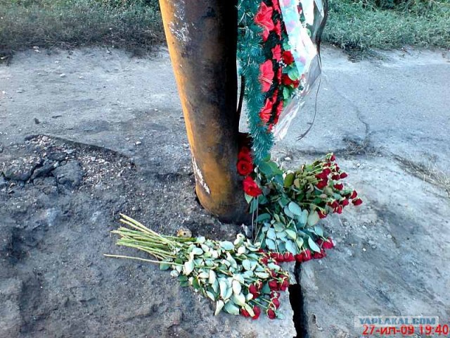 СтопХам Спб - Большие неприятности