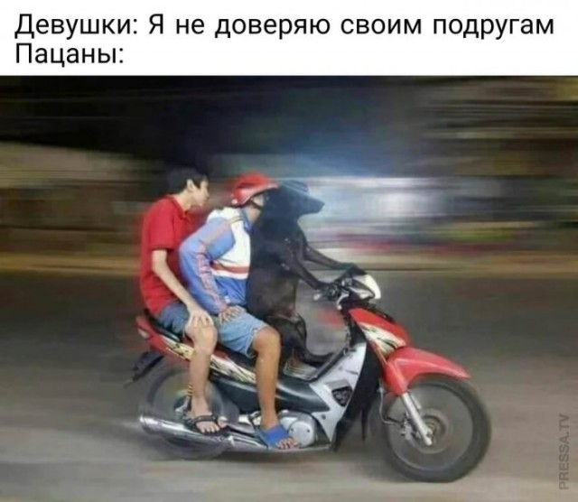 Картинки и мемы для настроения 28.04.2021