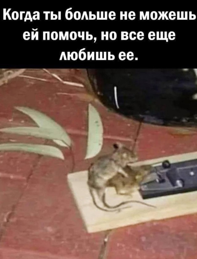 Картинки всякие и аморальные - 11