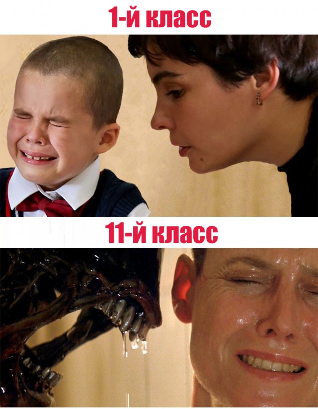 Картинки и мемы для настроения 26.10.2021