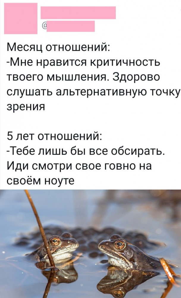 Баяны бабыЯны