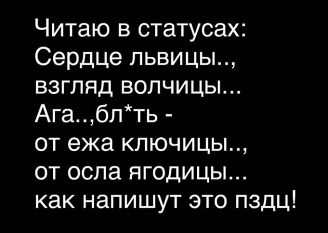 Алкопост 24.12.21