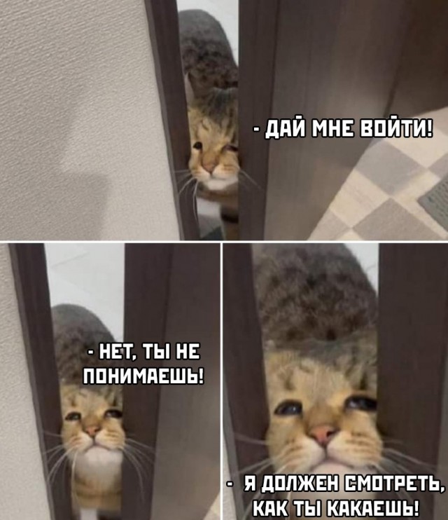 Новогодние и разные картинки