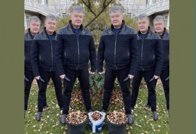 Похоже, ЛДНР не ограничимся