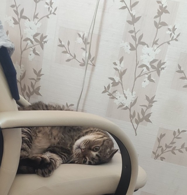 Ну, поехали в котоввторник!