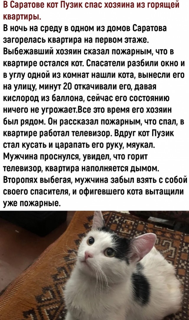 Так себе картинки 02.04.22