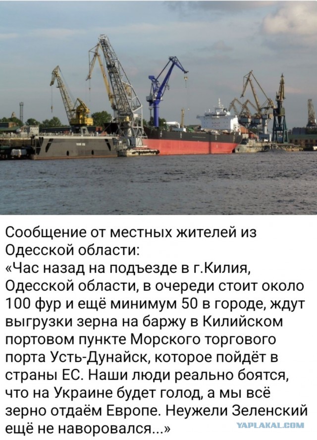 Голодомор пана Зеленского