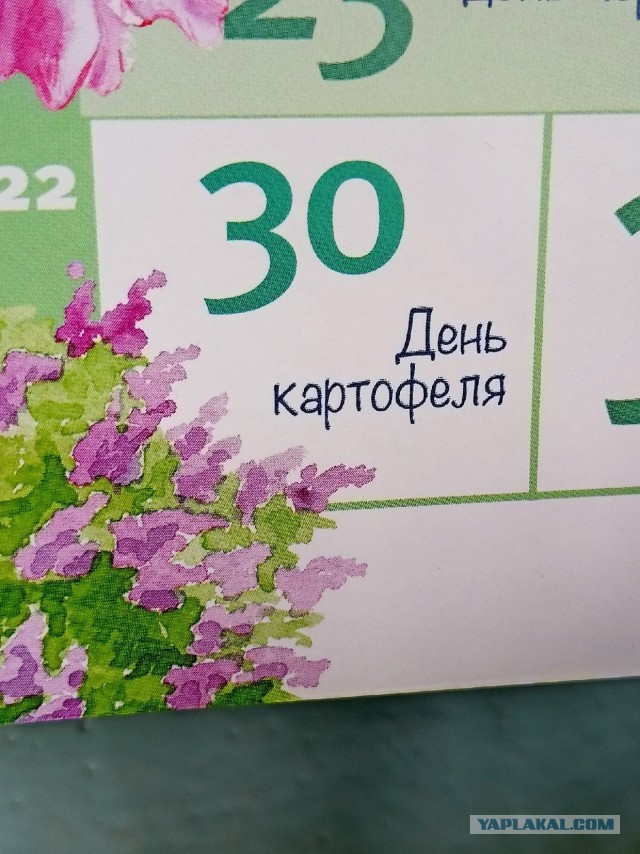 Что должно быть нажито у взрослой девочки?