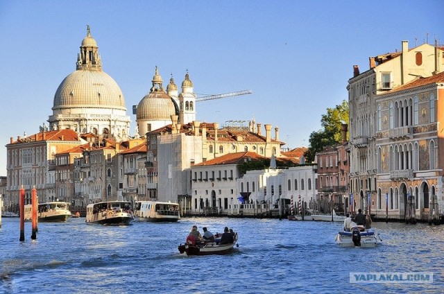 Любовь с первого взгляда