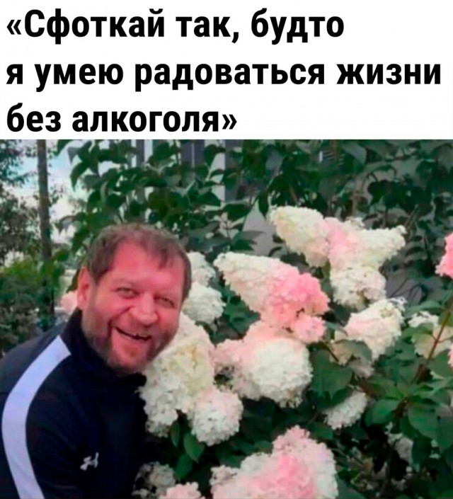 Так себе картинки 04.09.22
