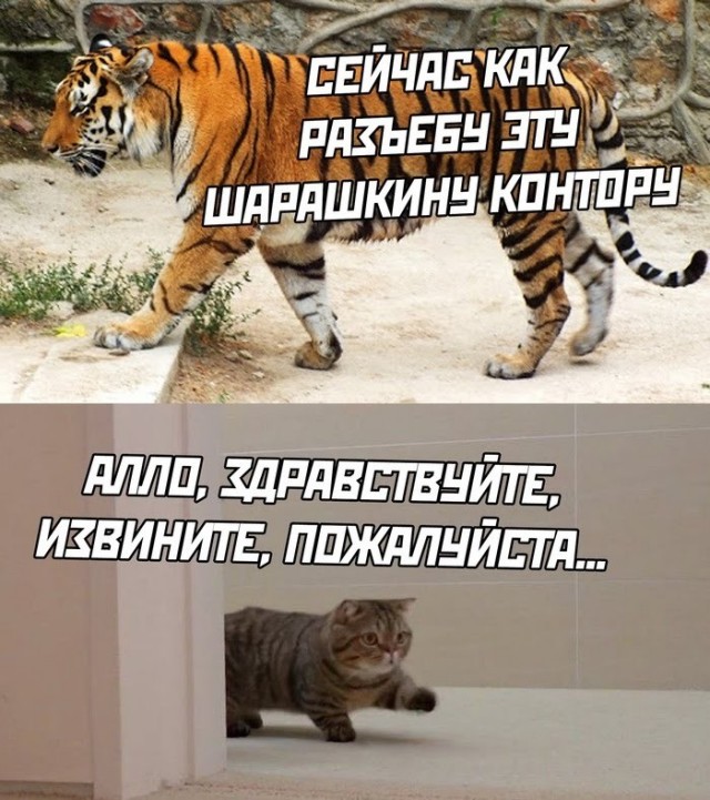 Дельный совет
